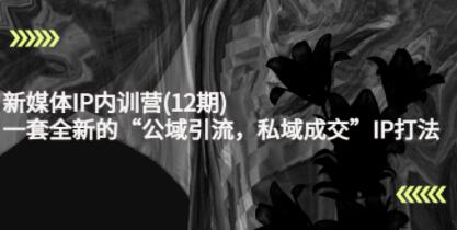 《新媒体IP内训营12期》一套全新的“公域引流，私域成交”IP打法，直接带走
